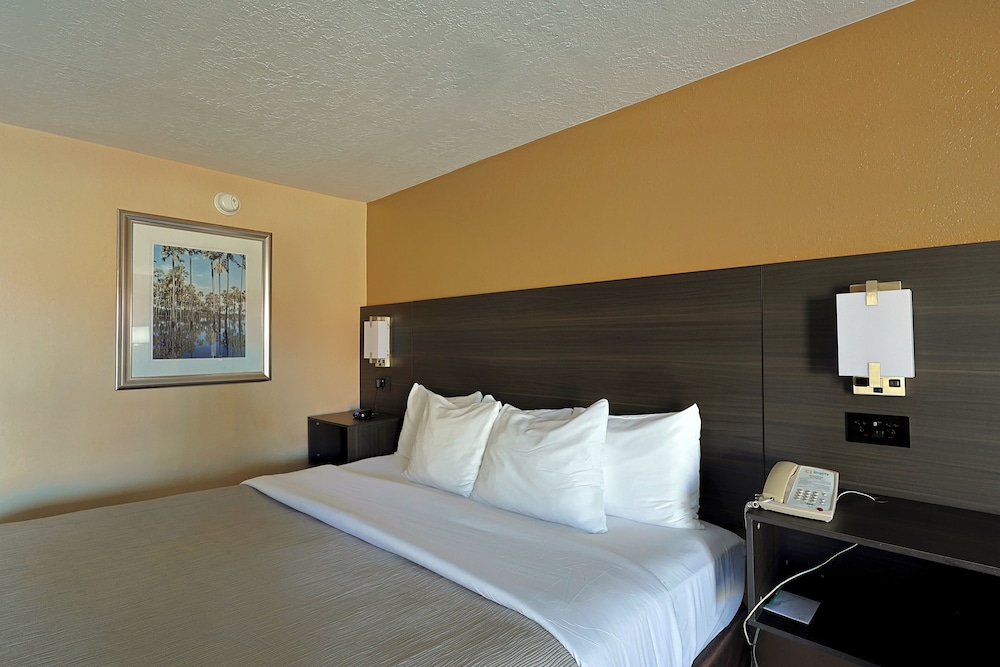 Quality Inn Kennedy Space Center - photo 31