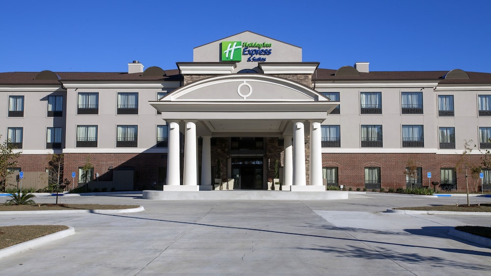 Holiday Inn Express Hotel & Suites Morgan City Tiger Island by IHG - photo 31