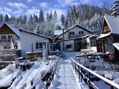 Podul De Brazi in Cartisoara, Romania