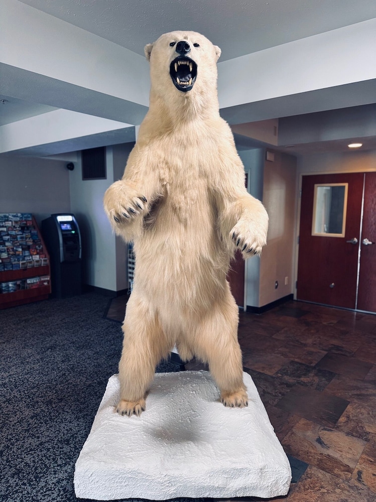 Wyndham Garden Anchorage Airport - photo 2