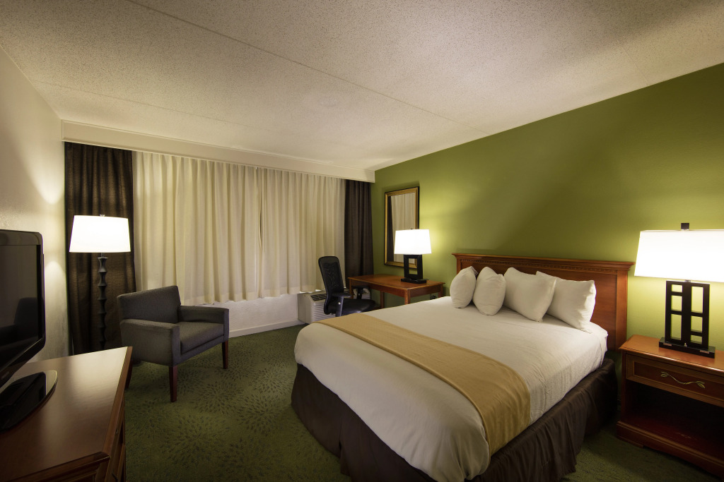 Holiday Inn Athens University Area - photo 11