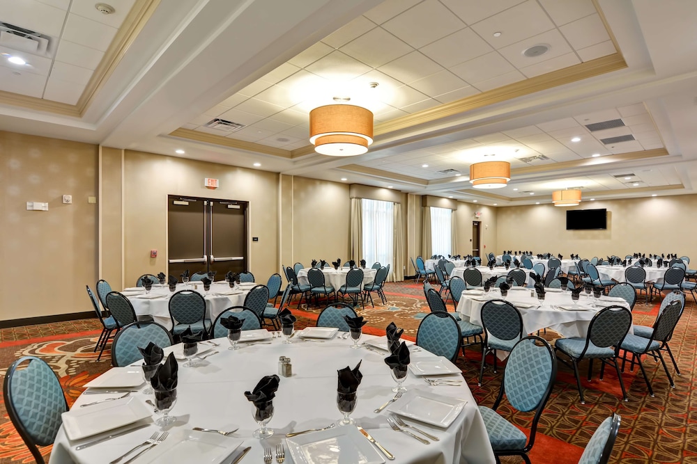 Hampton Inn & Suites Tampa Northwest Oldsmar - photo 38