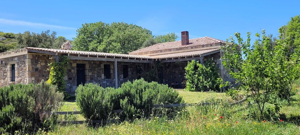 Ruya Bozcaada — Bozcaada — photo 2