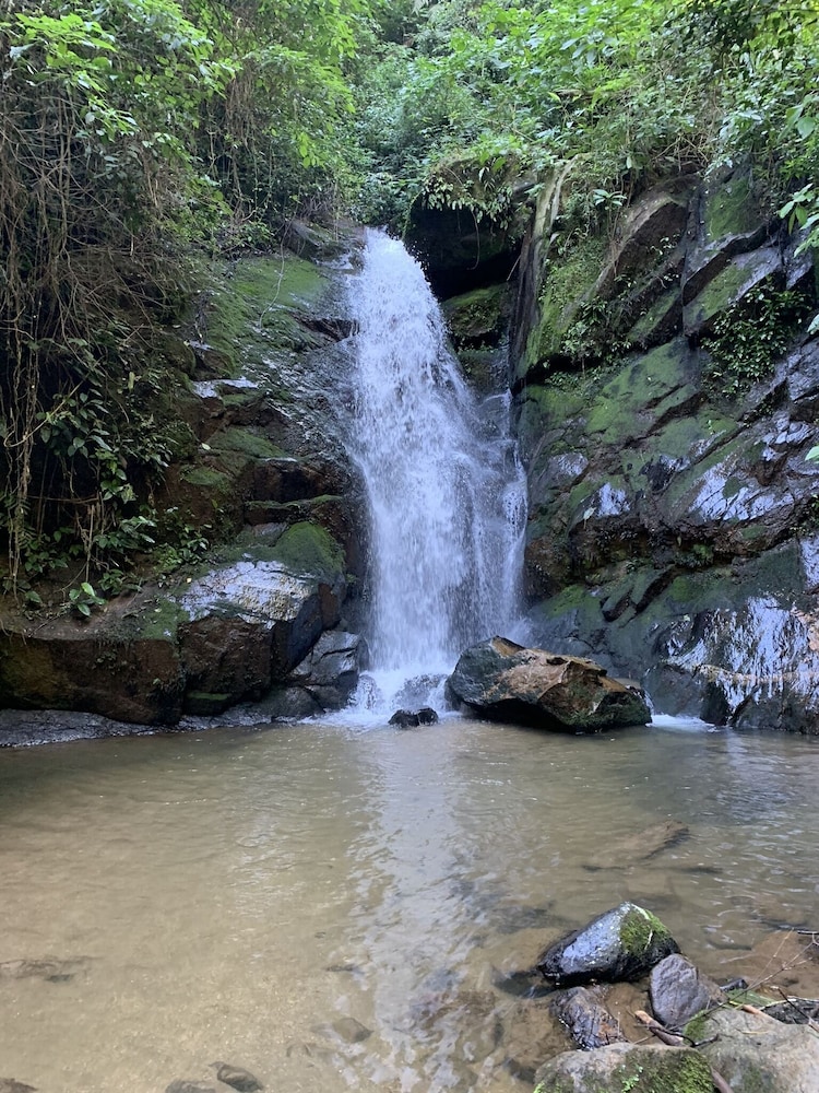 Gato De Botas in Nova Friburgo, Brasil