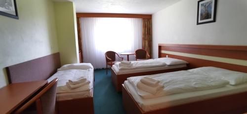 Hotel Svratka — Svratka