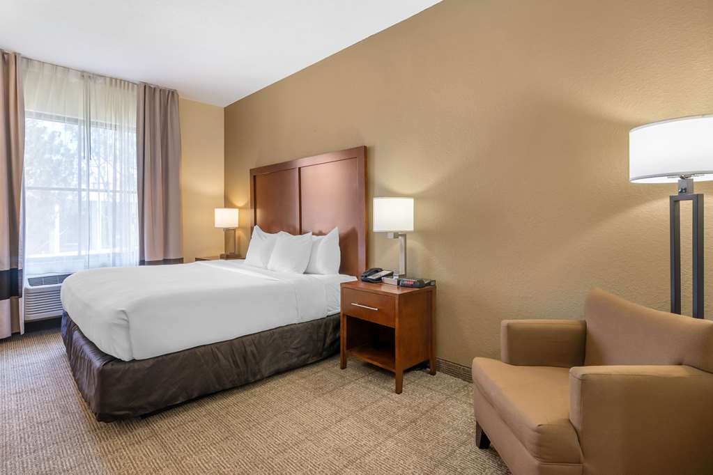 Comfort Inn & Suites Northeast Gateway - photo 12