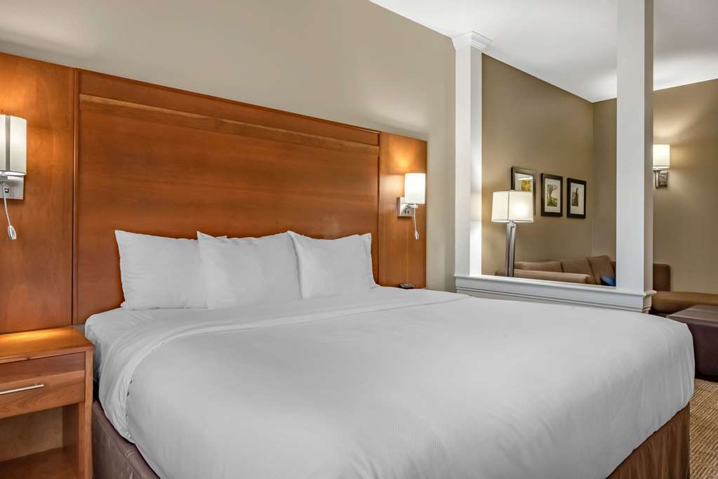 Comfort Suites Hotel and Conference Center - photo 20
