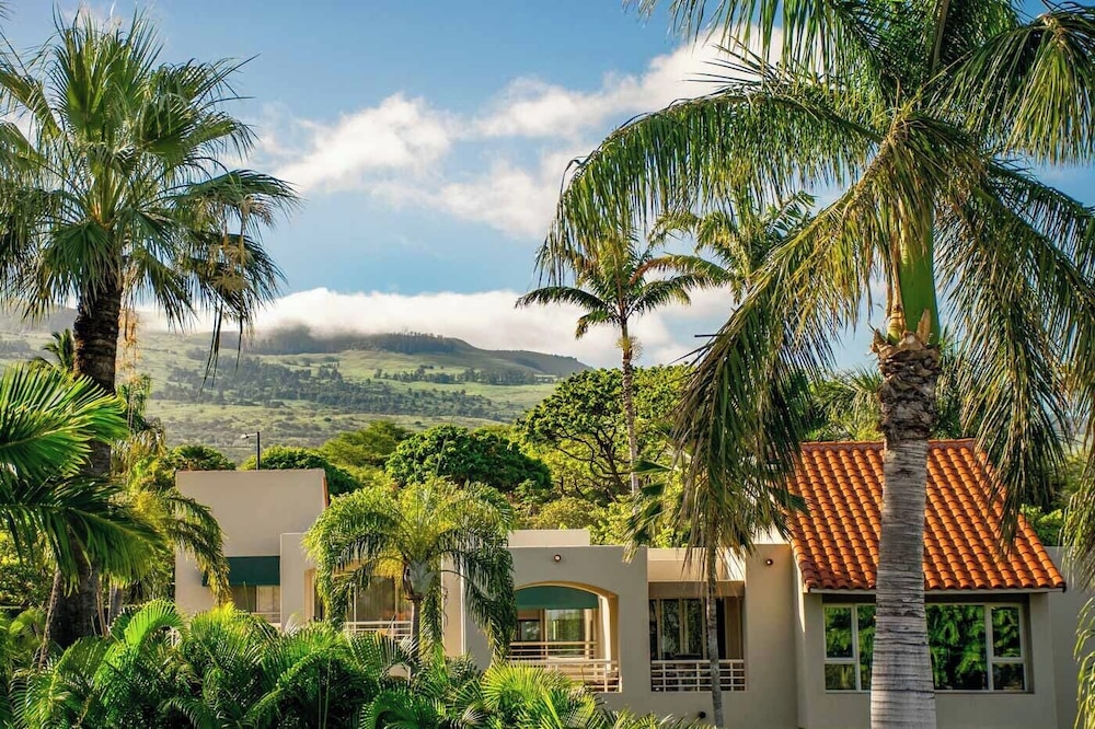 Palms at Wailea Maui - photo 151