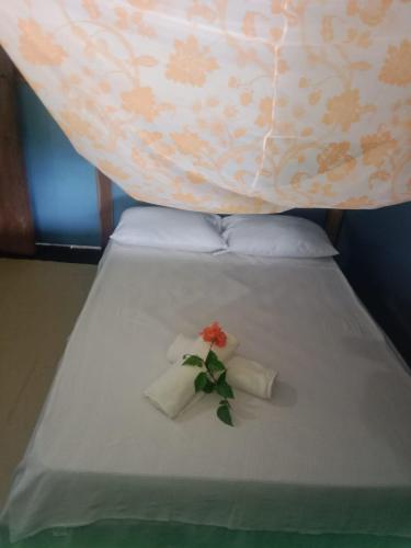 Perla del cabo — Unknown City — photo 2