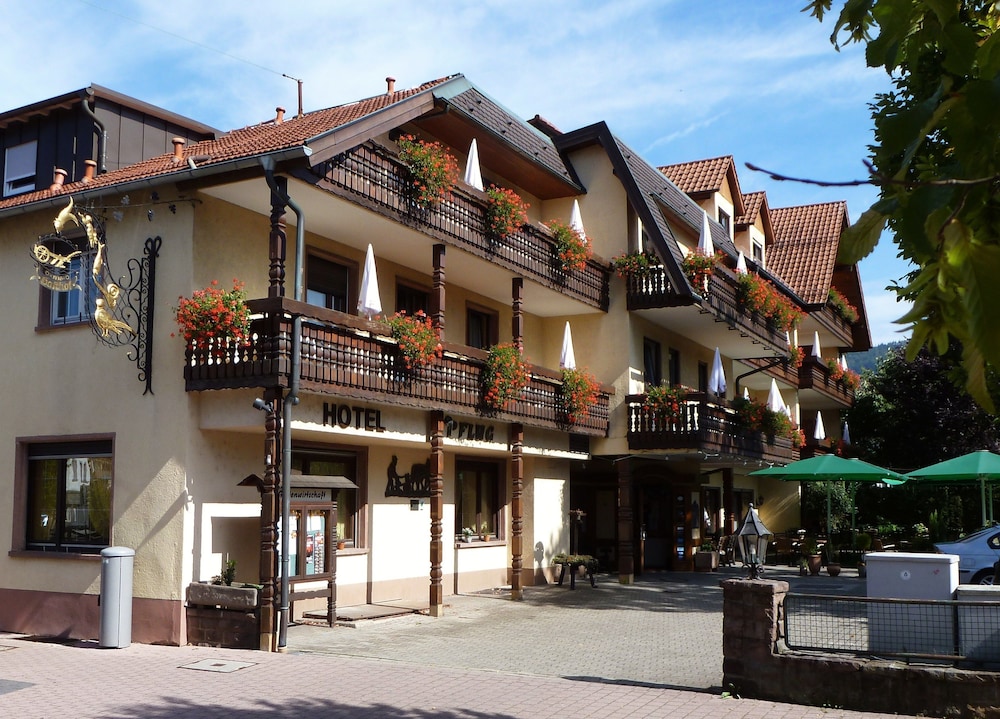 Hotel Restaurant Pflug — Oberkirch