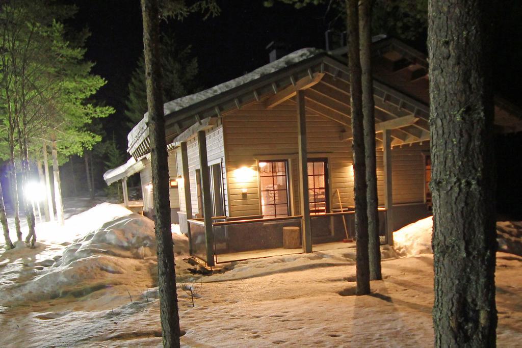 Tunturipöllö 2 — Kuusamo — photo 4