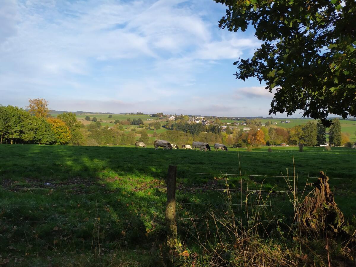 La Vie En Rose Hotel in Gouvy, Belgium