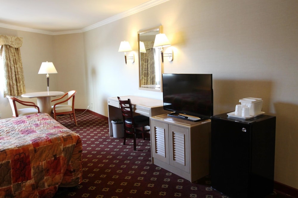 Metro Plaza Hotel - photo 10