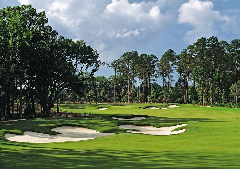 The Westin Hilton Head Island Resort & Spa - photo 67