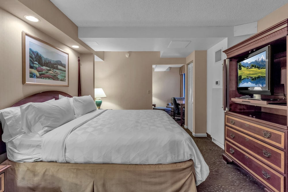 Buffalo Airport Hotel - photo 15