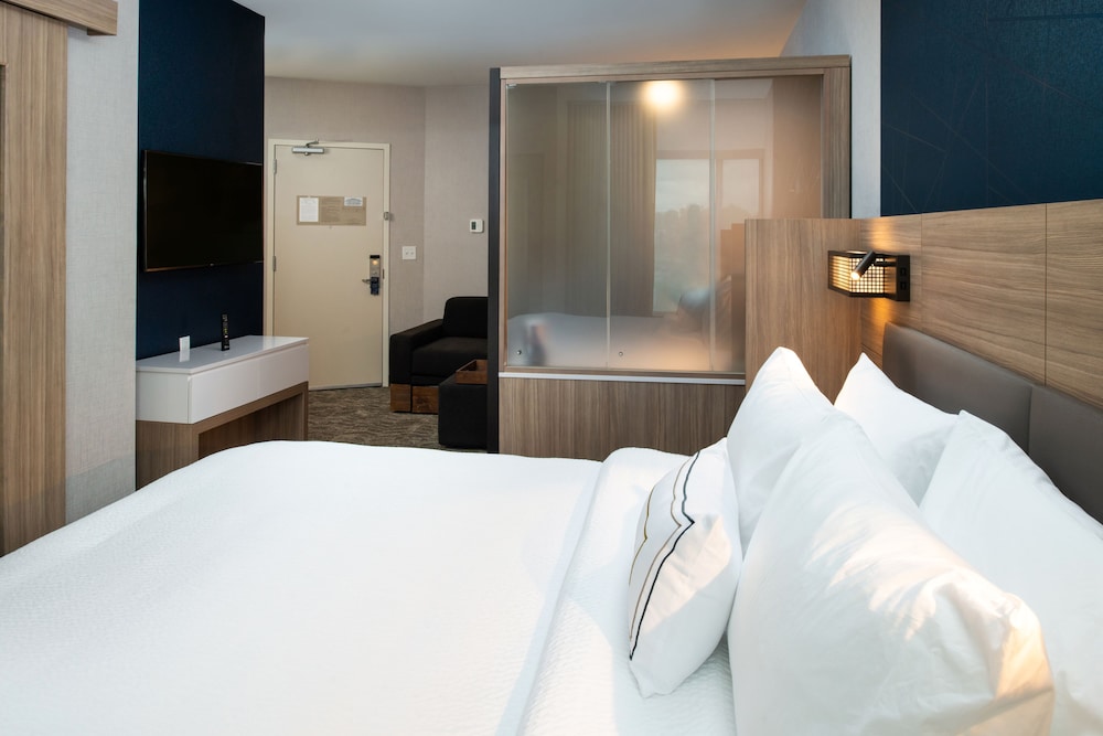 SpringHill Suites by Marriott Elizabethtown - photo 6