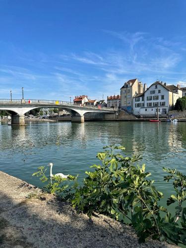 Le Petit Marnais 15mn Disneyland 25mn Paris — hotel in Pomponne