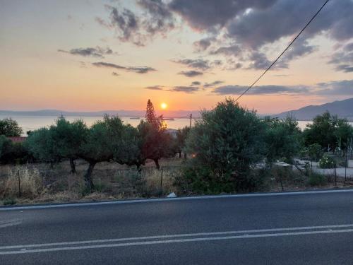 Iliovasilema — Kalamata — photo 4