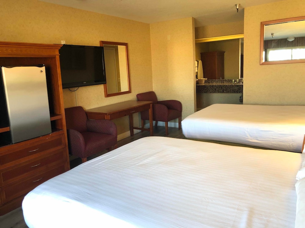 Hotel Le Rêve Pasadena - photo 8