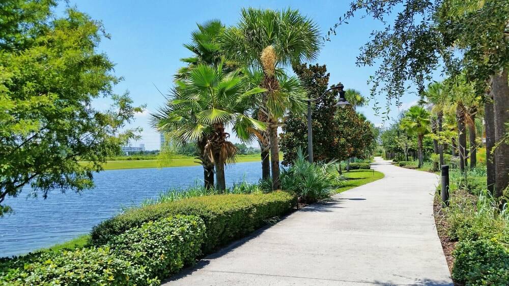 Oasis Escape - photo 6