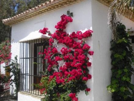 Cortijo Los Monteros — Medina Sidonia