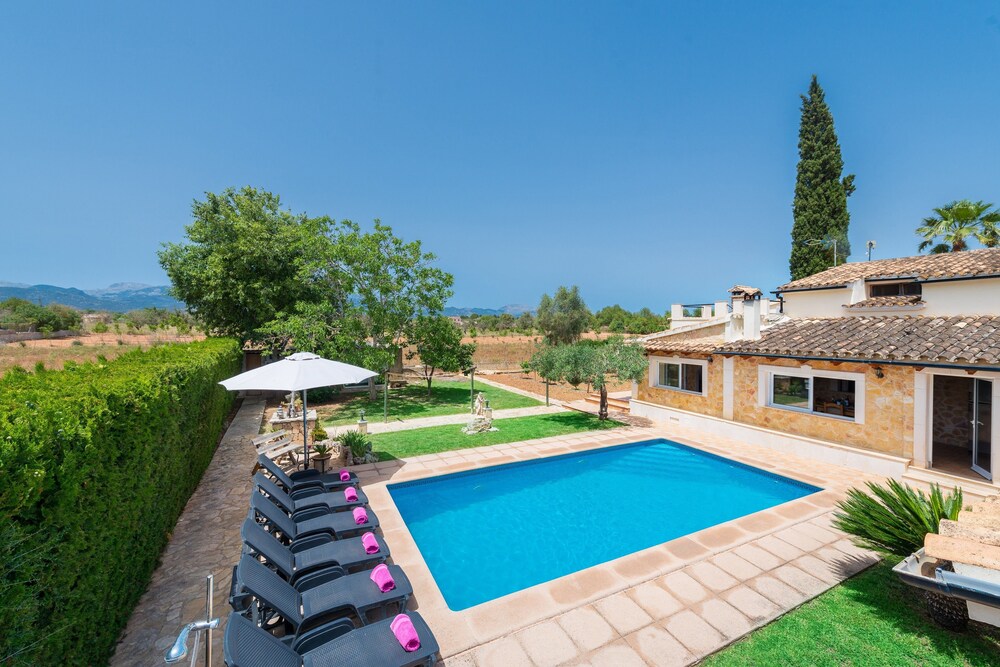 Citrino in Inca, Spain