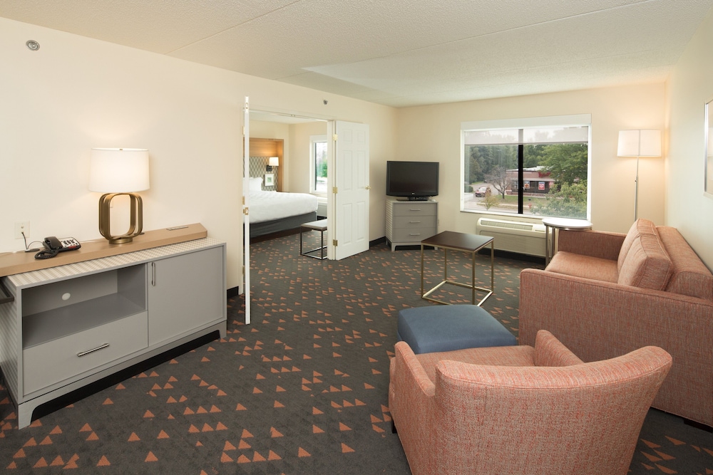 Holiday Inn & Suites Ann Arbor Univ Michigan Area by IHG - photo 16