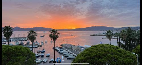 Palm Croisette Front de Mer1 in Cannes, France