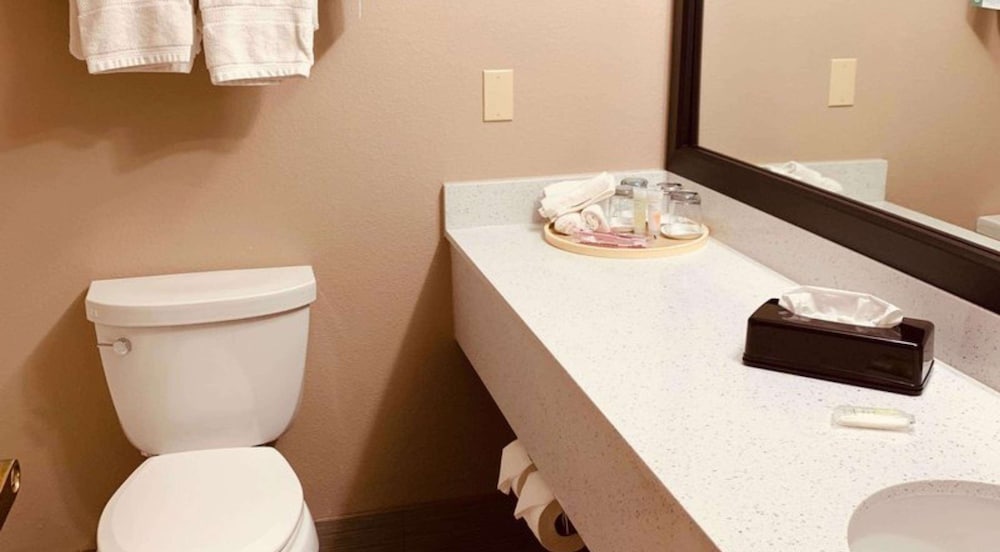 Comfort Suites Plano East Richardson - photo 42