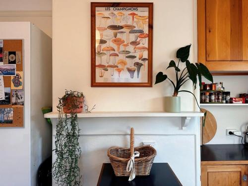 Enchanting Vintage House at South Hobart — 4-Star Luxury Hotel in Hobart, Australia