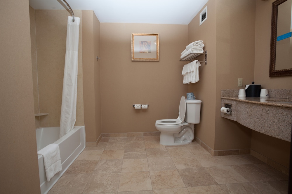 Hampton Inn Oneonta - photo 31