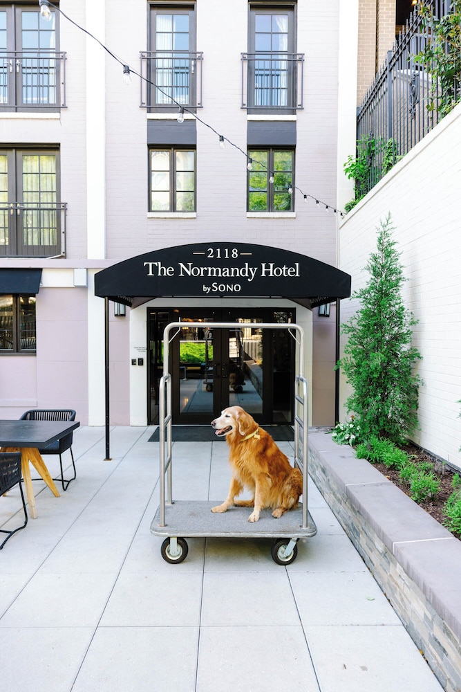 The Normandy Hotel - photo 24