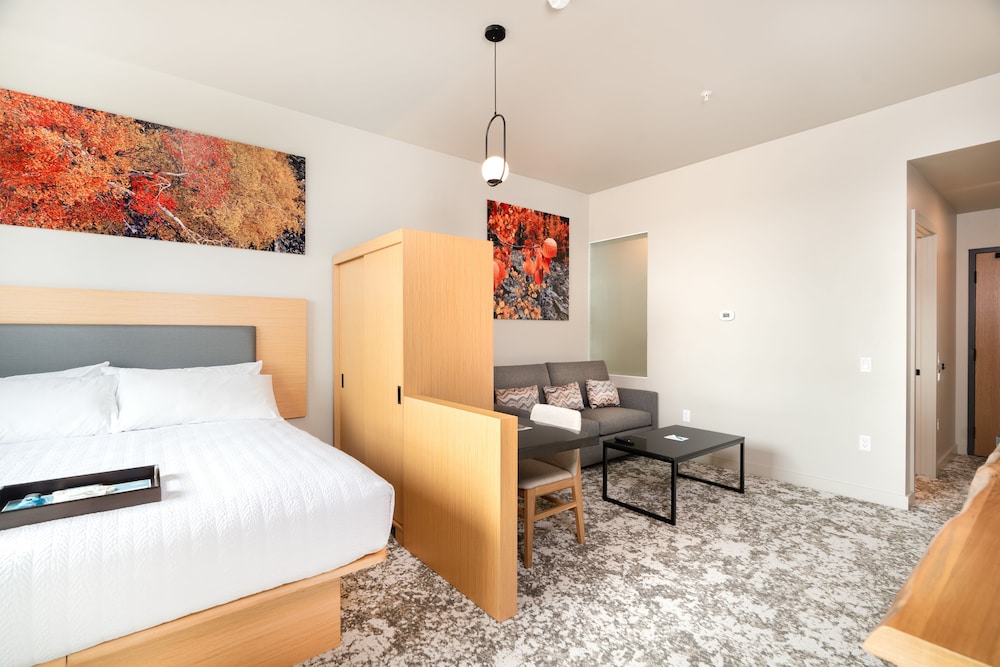 The Springs Resort & Spa - photo 14