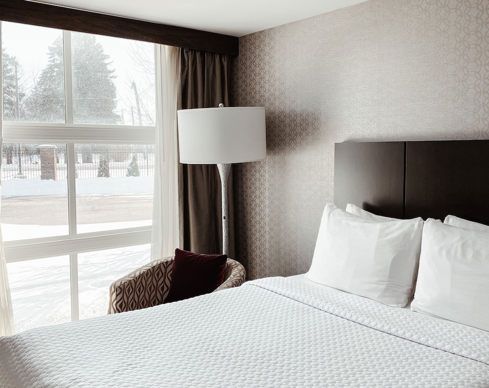 Crowne Plaza Chicago SW Burr Ridge by IHG - photo 5
