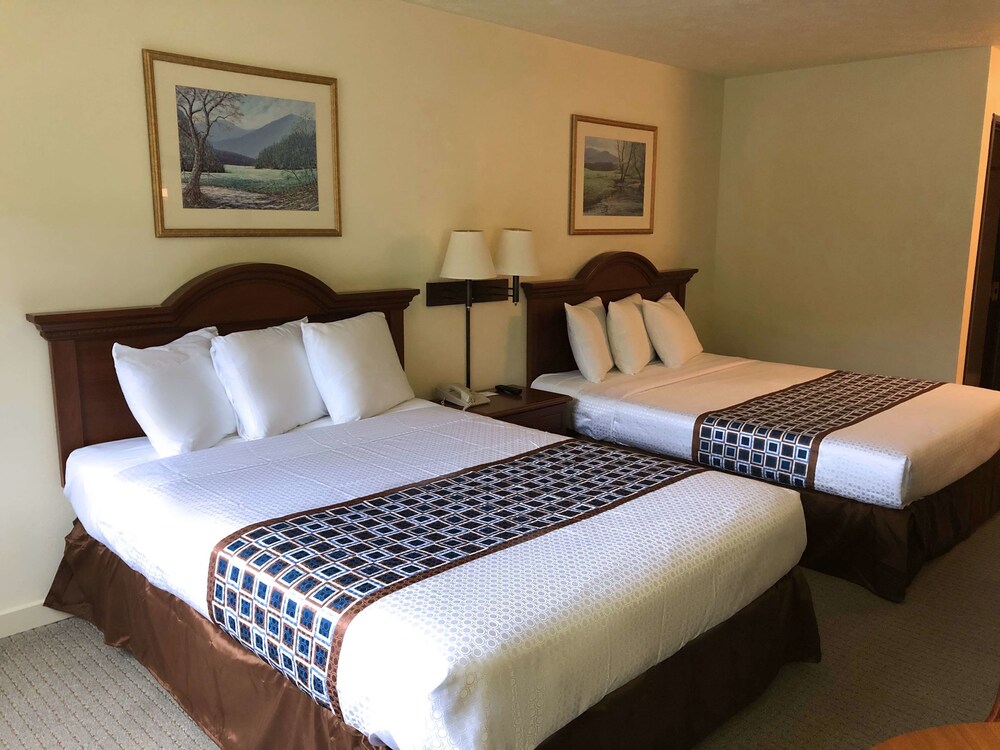 Americas Best Value Inn & Suites Independence VA - photo 4