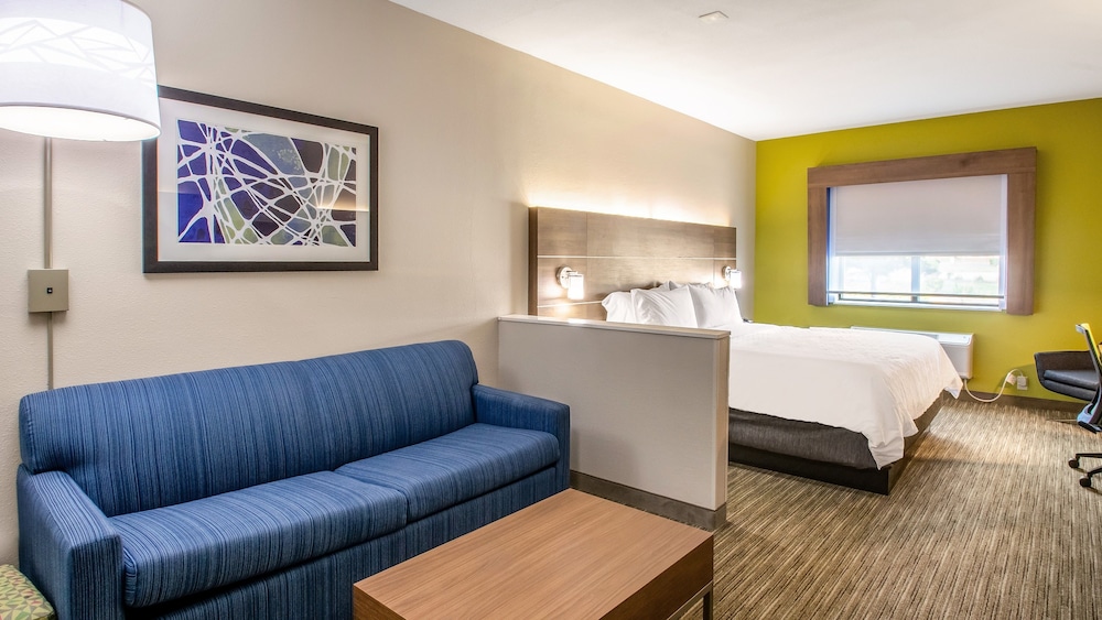 Holiday Inn Express & Suites Olathe South by IHG - photo 8