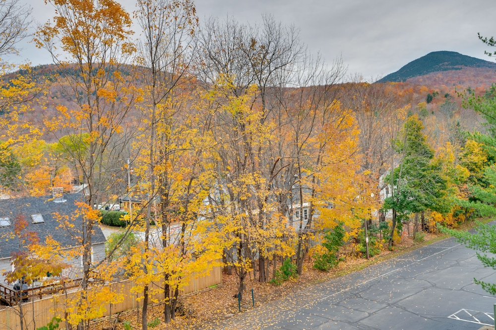 Lincoln Condo 2 Mi to Loon Mountain Resort - photo 35