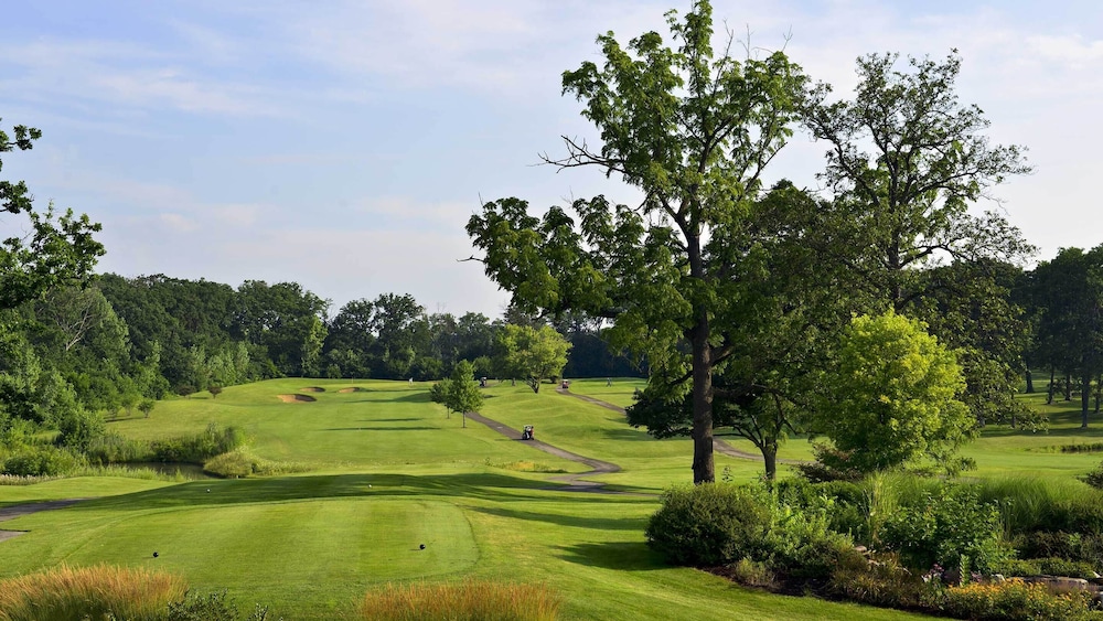 Eaglewood Resort and Spa - photo 18
