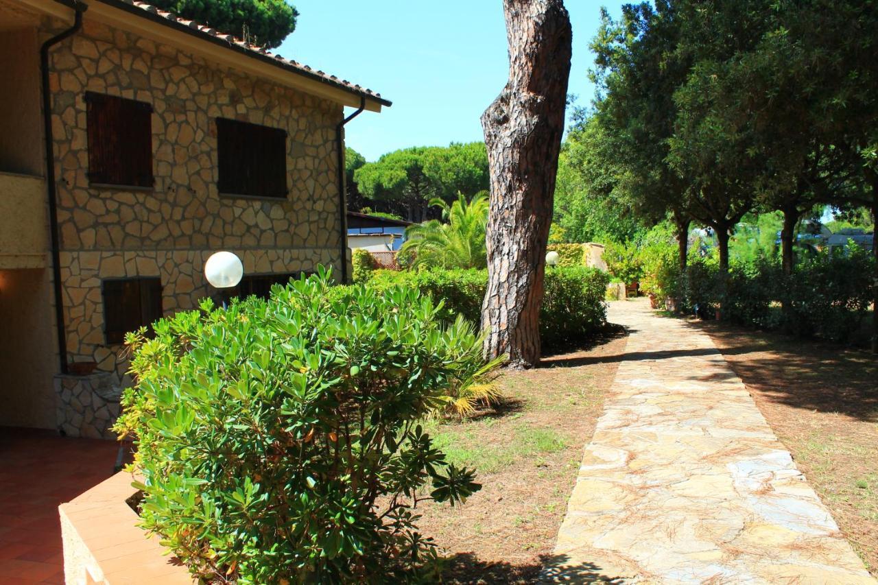 Torre Saline sotto pineta sul mare della Giannella — hotel in Albinia