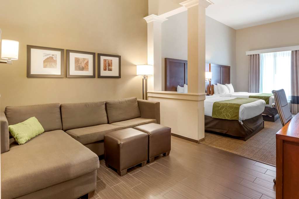 Comfort Suites St George University Area - photo 25
