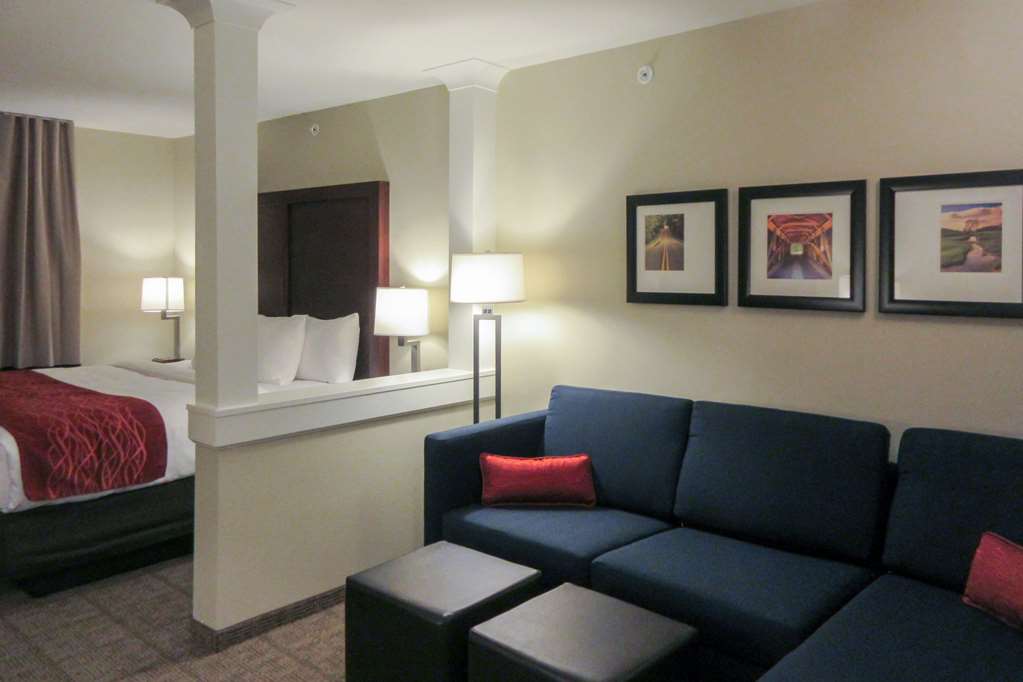 Comfort Inn & Suites Gap Amish Country - photo 11