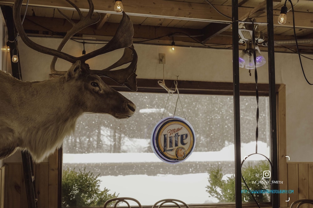 The Balsam Inn - photo 35