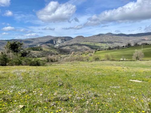 Podere Casagrande — hotel in Roccalbegna