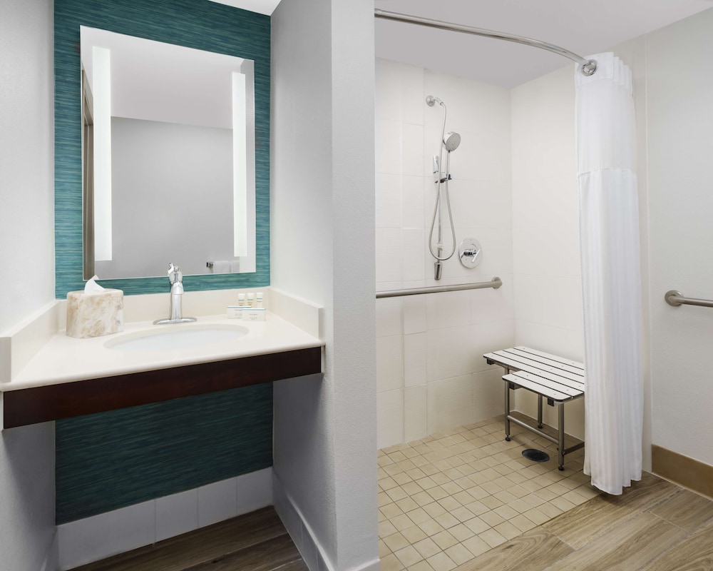 Hilton Garden Inn Orlando at SeaWorld - photo 19