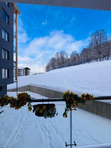Crystal Wood Apartment 213