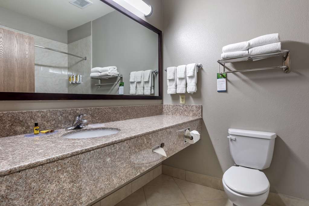 Best Western Plus Mansfield Inn & Suites - photo 13