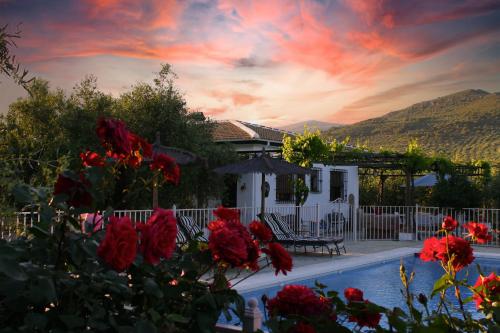 Casa de la Noria — 4-Star Luxury Hotel in Carcabuey, Spain