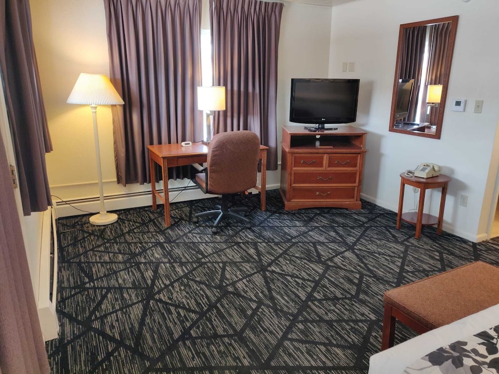 Skyline Motor Inn - photo 11