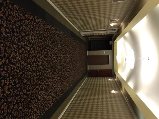 Ramada St. Louis Airport - photo 7