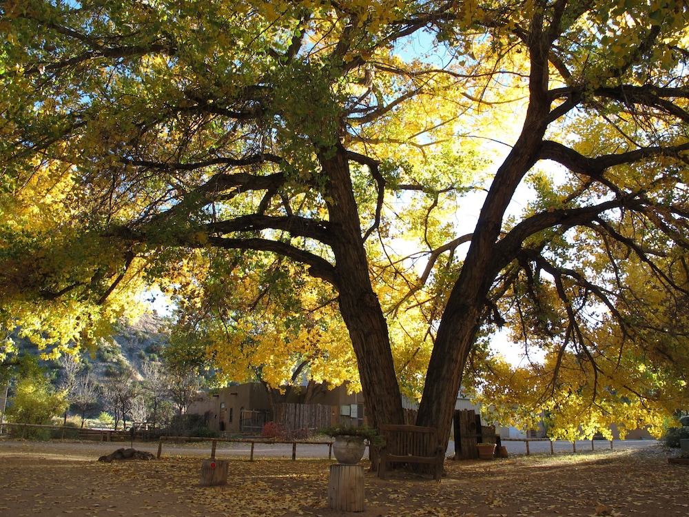 The Abiquiu Inn - photo 79